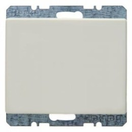 6710450002 Заглушка с центральной панелью цвет: белый, с блеском Arsys Berker