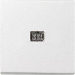 029803 Клавиша с большим конрольным окошком белый глянец Белый Gira