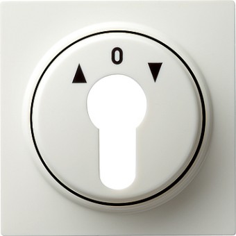 066440 Накладка выключателя с ключом для жалюзи Белый Gira S-color