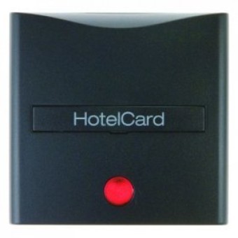 16401606 Hакладка карточного выключателя для гостиниц с оттиском и красной линзой цвет: антрацит, матовый B.1/B.3/B.7 Glas Berker