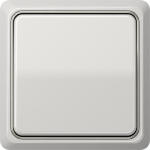 CDP581LG Рамка CD Plus Светло-серый 1-постовая Jung