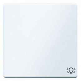 16206049 Клавишный выключатель с оттиском символа света цвет: полярная белизна, с эффектом бархата, Q.1 Berker