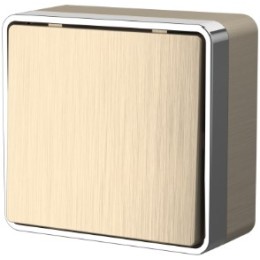 WL15-01-01 Выключатель одноклавишный Gallant (шампань рифленый) Gallant Werkel a041412