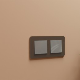 W1119002 Клавиша для выключателя перекрестного (глянцевый никель) Antik Werkel a051077