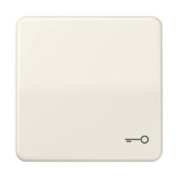 CD590T CD 500/CD plus Бежевый Клавиша 1-я с символом "КЛЮЧ" Jung