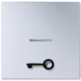 A590T1KOAL 1-ая клавиша с окошком, символ "ключ", кр.ал. Jung A серия
