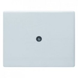 10050069 Центральная панель для VDo-розеток и кабельного вывода цвет: полярная белизна, с блеском Arsys Berker