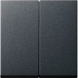 026628 Двойные клавиши с комплектом уплотнителей IP44 для клавишных и кнопочных выключателей Антрацит Gira