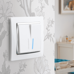 WL03-Frame-01-white Рамка на 1 пост (белый) Snabb Werkel a028880