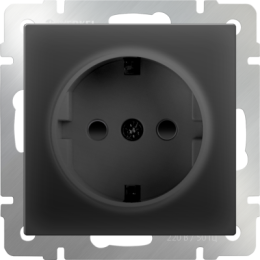 WL08-10-01 Розетка с заземлением, безвинтовой зажим (черный матовый) Antik Werkel a041202