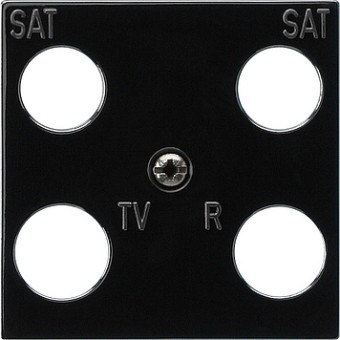 025810 Панель 50*50 мм для 4 канальной антенной розетки EVU 02/F (Hirschmann) Черный Gira
