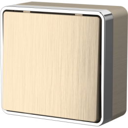 WL15-01-01 Выключатель одноклавишный Gallant (шампань рифленый) Gallant Werkel a041412