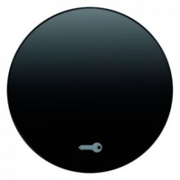 16202015 Клавиша с символом "Дверь", черная, с блеском R.1/R.3 Berker