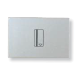 N2214.5 PL Механизм карточного (54 мм) выключателя с задержкой отключения с накладкой, 2-модульный, серия Zenit, цвет серебристый, ABB