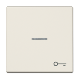 LS990KO5T 1-ая клавиша с окошком, символ "ключ", сл.кость Jung LS серия