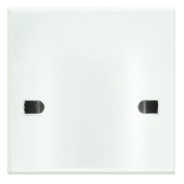 HD4955A45 Axolute Вывод кабеля 45A с нерасплавляющейся лицевой панелью Bticino