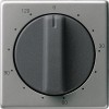 064220 Накладка таймера 120 мин Сталь Gira E22