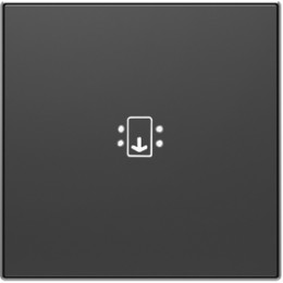 8514 NS Клавиша (накладка) с линзой и маркировкой Чёрный бархат , ABB