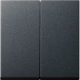 029528 Клавиша двойная Антрацит Gira