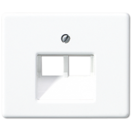 SL569-2UAWW SL 500 Белый  Накладка 2-ой наклонной ТЛФ/комп розетки Jung