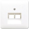 CD569-2UAWW CD 500/CD plus Белый Накладка 2-ой наклонной ТЛФ/комп розетки Jung