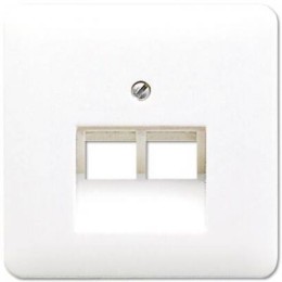 CD569-2UAWW CD 500/CD plus Белый Накладка 2-ой наклонной ТЛФ/комп розетки Jung