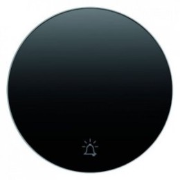 16202025 Перекидной выключатель, R.1 Berker