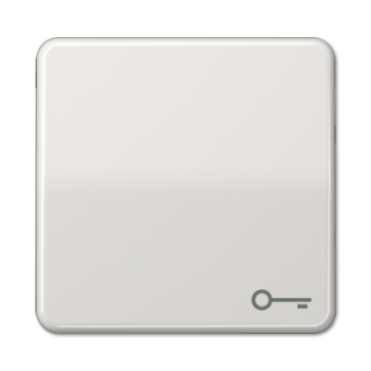 CD590TLG CD 500/CD plus Светло-серый Клавиша 1-я с символом 