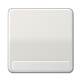 CD590NALG CD 500/CD plus Светло-серый Клавиша 1-я с полем для надписи Jung