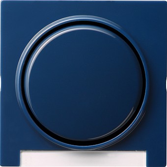 029946 Одинарная клавиша с полем для надписи Синий Gira S-color