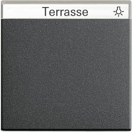 029928 Одинарная клавиша с полем для надписи Антрацит Gira