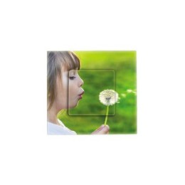 2700617-108 Накладка декоративная на рамку базовую, 1 пост, Simon 27 Play, прозрачный