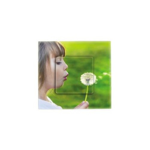 2700617-108 Накладка декоративная на рамку базовую, 1 пост, Simon 27 Play, прозрачный