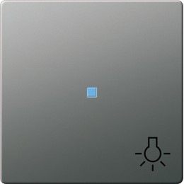 028520 Клавиша с пиктограммой "свет" и контрольным окном Сталь Gira E22